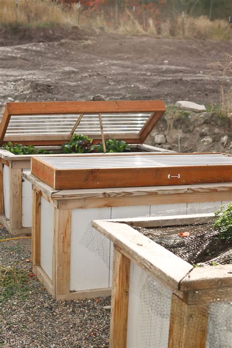 Diy Cold Frame Vegetable Unlocking The Potential Of DIY Cold Frame