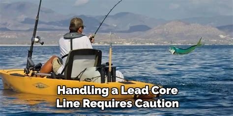 Image result for Using Lead Core Line