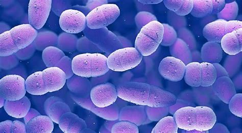 Strep A infection has killed around 30 children in the UK since mid ...