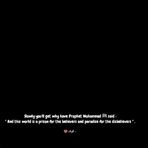 Slowly you'll get why hav... | Quotes & Writings by im.aloof_ | YourQuote