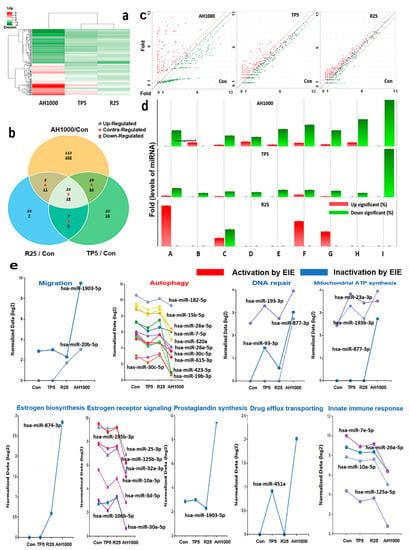 Effects of Induced Exosomes from Endometrial Cancer Cells on Tumor ...
