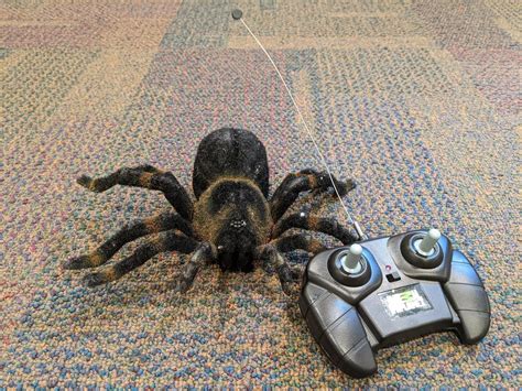 Image result for Remote Control Animals