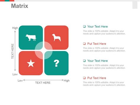 Image result for Matrix Presentation Example