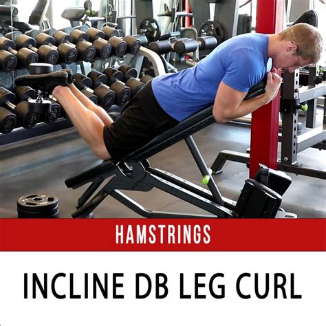 Dumbbell Hamstring Curl