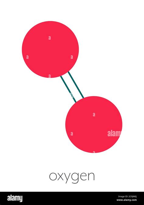 Image result for O2 Molecule Structure