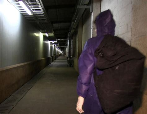 Tierrechtler kämpfen um Akteneinsicht im Fall Schulze Föcking ...