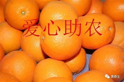 30人发展到3000人，通拓创始人“失去”控制权，回归农村卖橙子_腾讯新闻