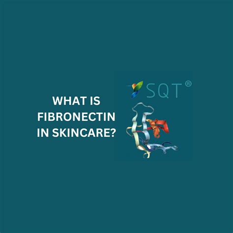 Image result for Fibronectin Medication