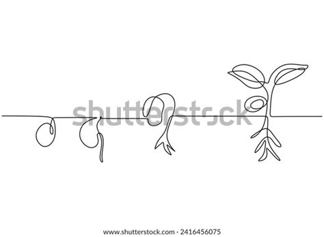 Image result for Line Graph Life Science