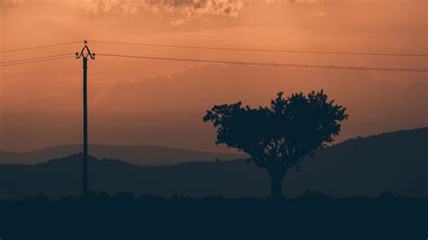 Download wallpaper 3840x2160 tree, sunset, column, wires 4k uhd 16:9 hd ...