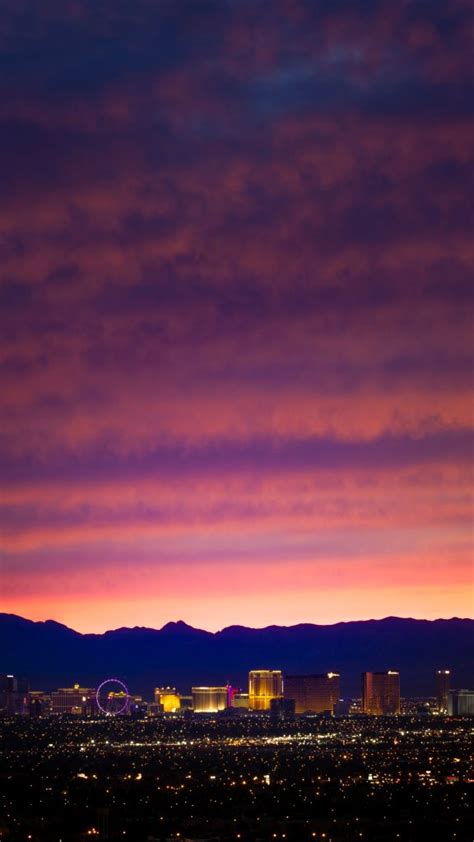 Image result for Seattle Protesters Hit