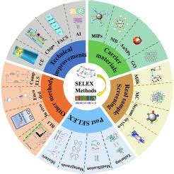 Selexity Script 的图像结果