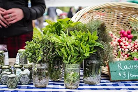 Cocktail Class: Farm to Glass, Garden-Fresh Cocktails, The Vault ...