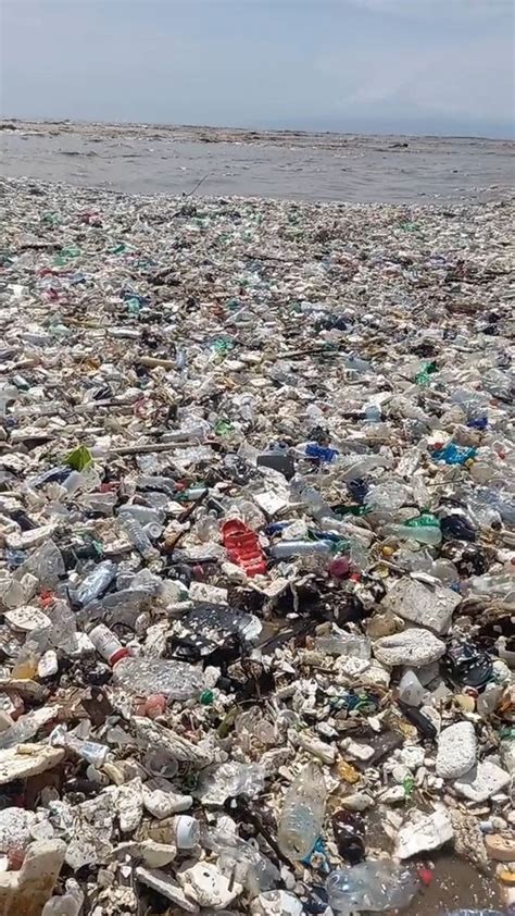 Waste Management Project Ideas 的图像结果