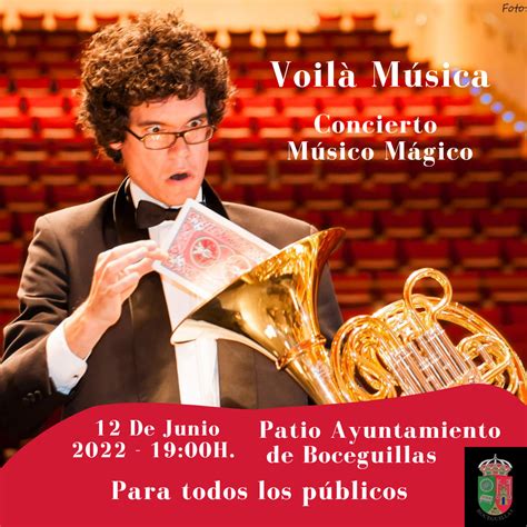 "VOILÁ MÚSICA" CONCIERTO MÚSICO MÁGICO