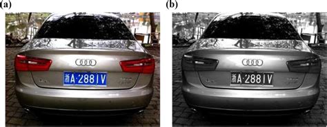 Image result for Detect Object in Gray Scale Image Processing Python