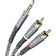 Buy BlueRigger 3.5mm to RCA Audio Cable (8FT, RCA Male to Aux Audio ...