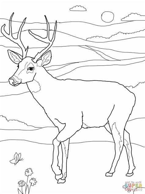Hunting Coloring Page - Coloring Home