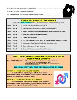 Image result for Crash Course Reproductive System