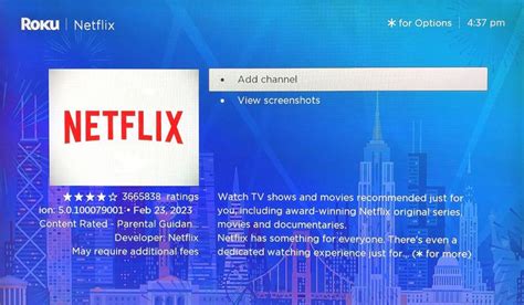 Netflix Roku Setup 的图像结果