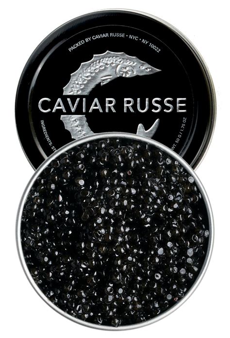 Sturgeon Fish Caviar Price