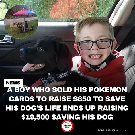 Sasori | In Staten Island, good grades mean free snacks — and sometimes ...