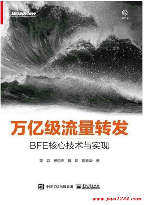 万亿级流量转发：BFE核心技术与实现 PDF 下载_Java知识分享网-免费Java资源下载