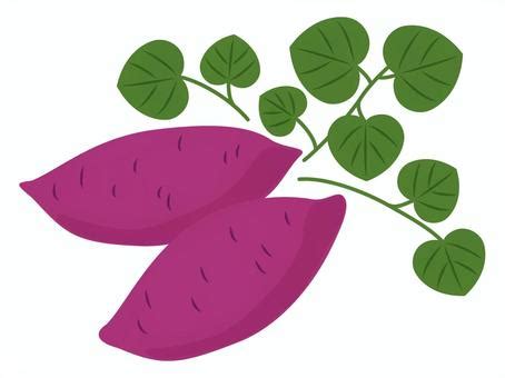 Make Connection in WebSocket JavaScript に対する画像結果