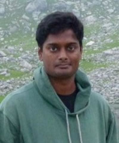 World Environment Day: We can tackle climate change through ecosystem ...