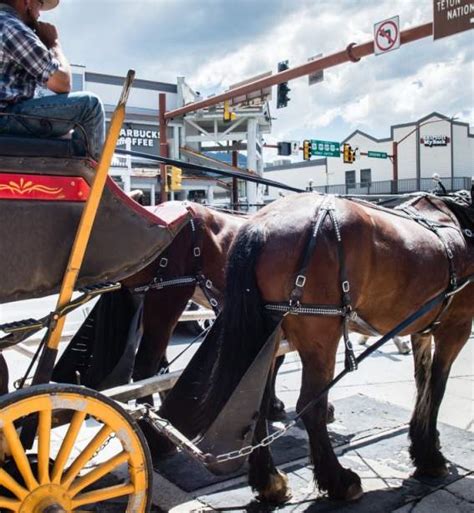 About Jackson Hole | History, Town of Jackson & Scenic Beauty