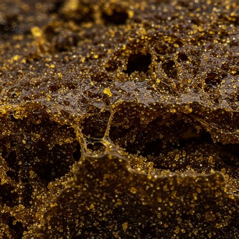 Image result for Hash Hub Script