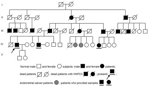 Oncology Letters