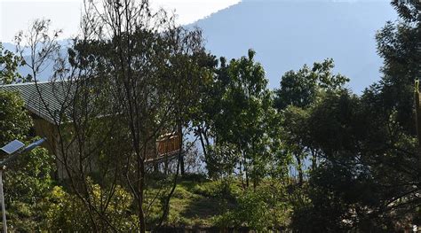 BWINDI ORUGANO LODGE (Uganda/Bwindi Impenetrable National Park) - Lodge ...