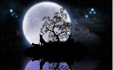 Moon Wolf Wallpaper Hd by Wolf And Moon Hd Wallpapers Wolf Wallpapers Pro Moon Wolf Wallpaper Hd