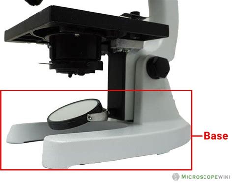 Microscope Labeled Parts 的图像结果