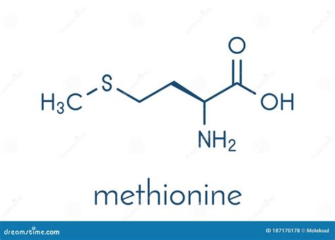 Methionine Amino Acid Structure