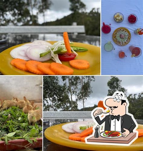 Hunt the rabbit - restaurant, Yercaud - Restaurant menu, prices and reviews