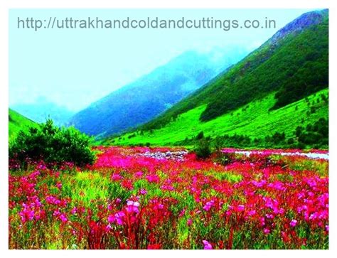 Valley of Flowers | Trek, National Park, Ghangaria, Climate, Hemkund