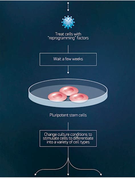 Image result for Reprogramming Graphic