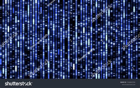Image result for Genetic Algorithm Visualization