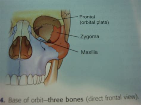 IHMC Public Cmaps (2)
