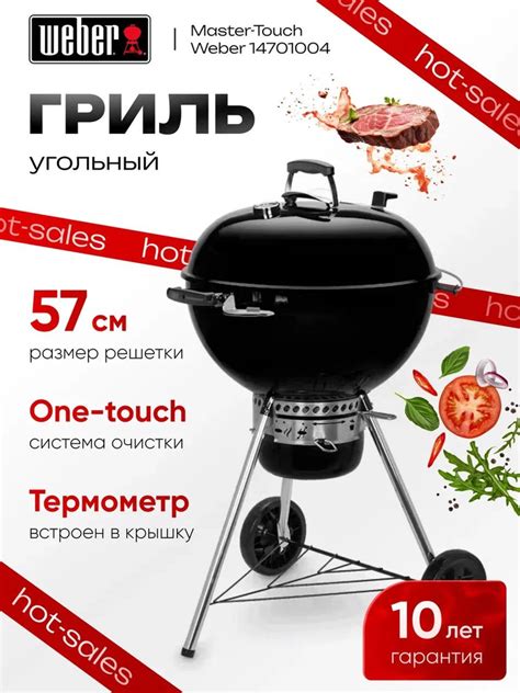Угольный гриль Weber Master-Touch E-5750 14701004 барбекю-гриль купить ...