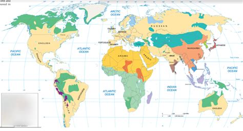 Language Map 的图像结果
