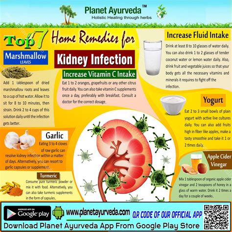Best Natural Remedies for Kidney Infection | Remedies for kidney infection, Kidney infection ...
