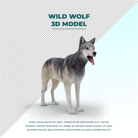 Lobo selvagem isolado | PSD Premium