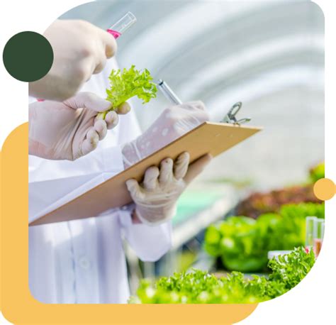 Crop Quality - anbr