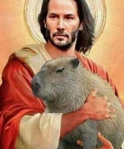 Image result for CapRate Humor