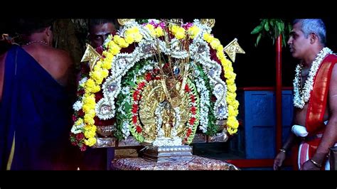 Puttur Mahalingeshwara: ಪುತ್ತೂರು ಮಹಾಲಿಂಗೇಶ್ವರ ದೇವರ ಗದ್ದೆಯಲ್ಲಿ ಪೂಕರೆ ...