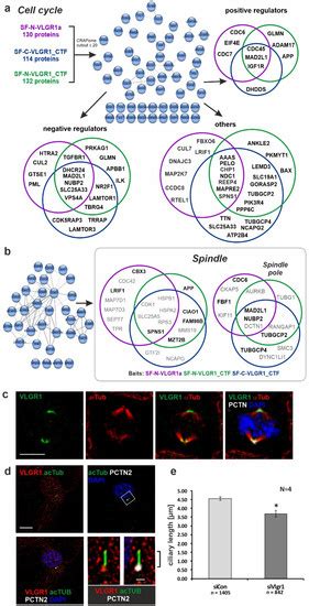 Affinity Proteomics Identifies Interaction Partners and Defines Novel ...
