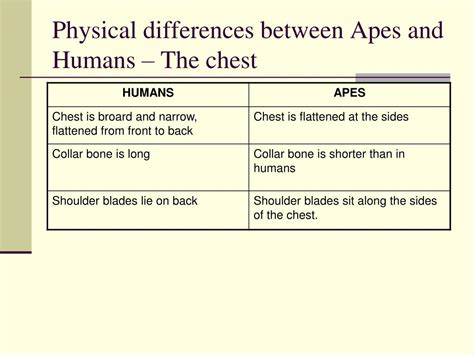 Image result for Locomotor Patterns in Primates